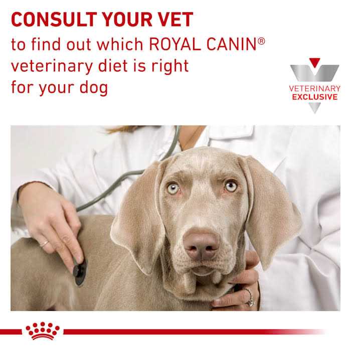 Hydrolyzed Protein Dry Dog Food R3118