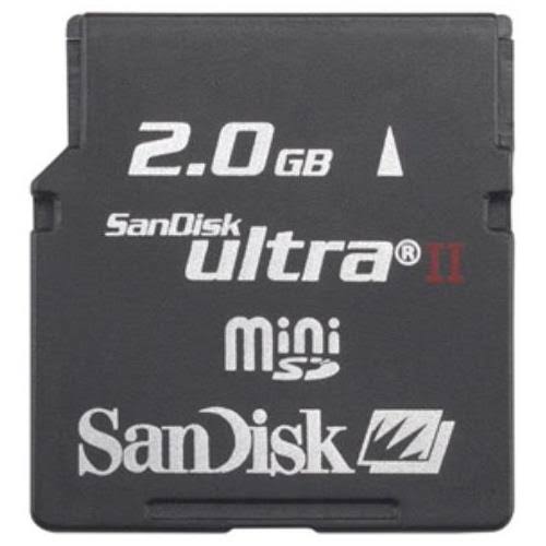2 GB miniSD Flash Memory Card with SD Adapter I17698