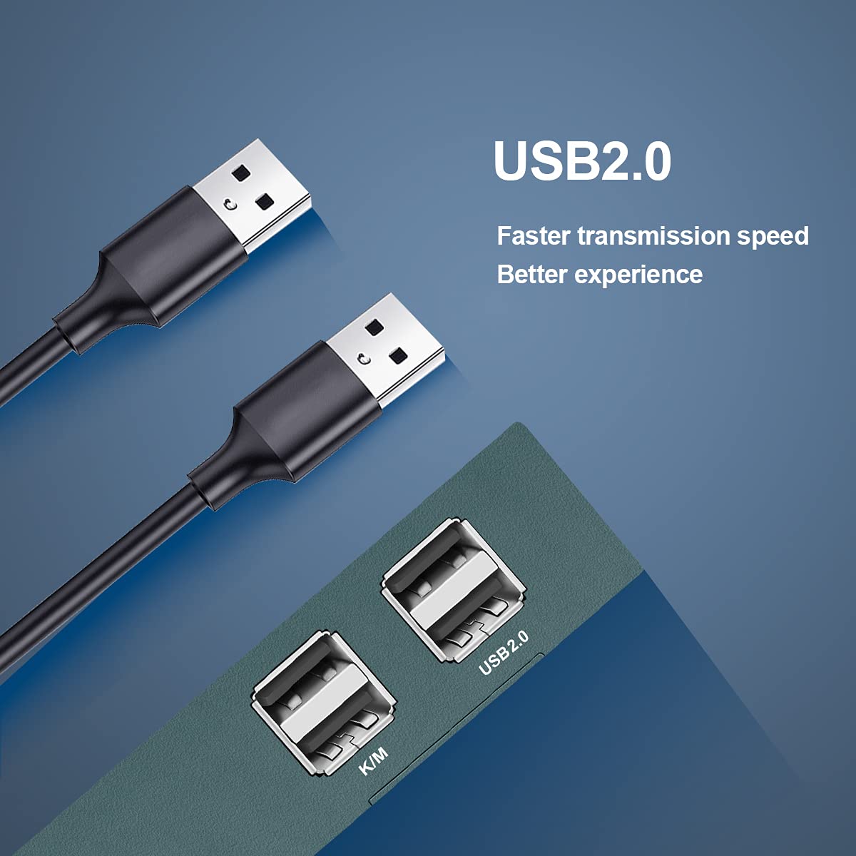 KVM Switch HDMI 2 Port, 4K@60Hz with 2 USB 2.0 Hub C4858