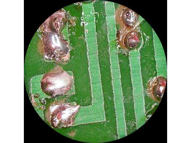 20X-40X-80X Forward Stereo Microscope with 1.3MP Digital Camera B4834