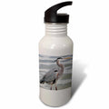 21 oz Sports Water Bottle V71638