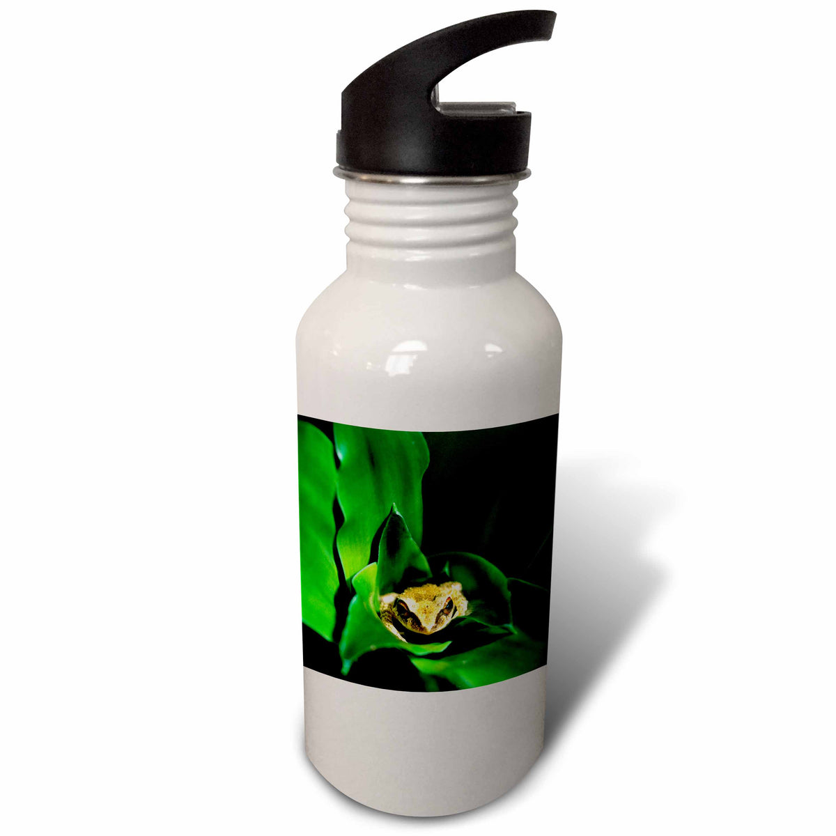 21 oz Sports Water Bottle A452