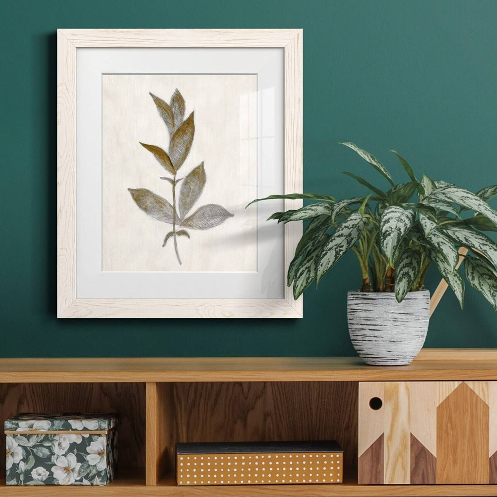 Walnut Framed Print Y9817