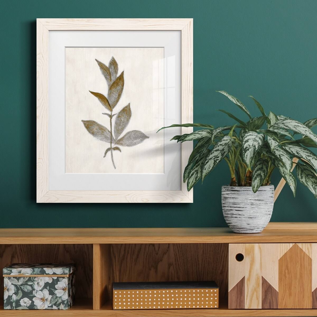Walnut Framed Print Y9817