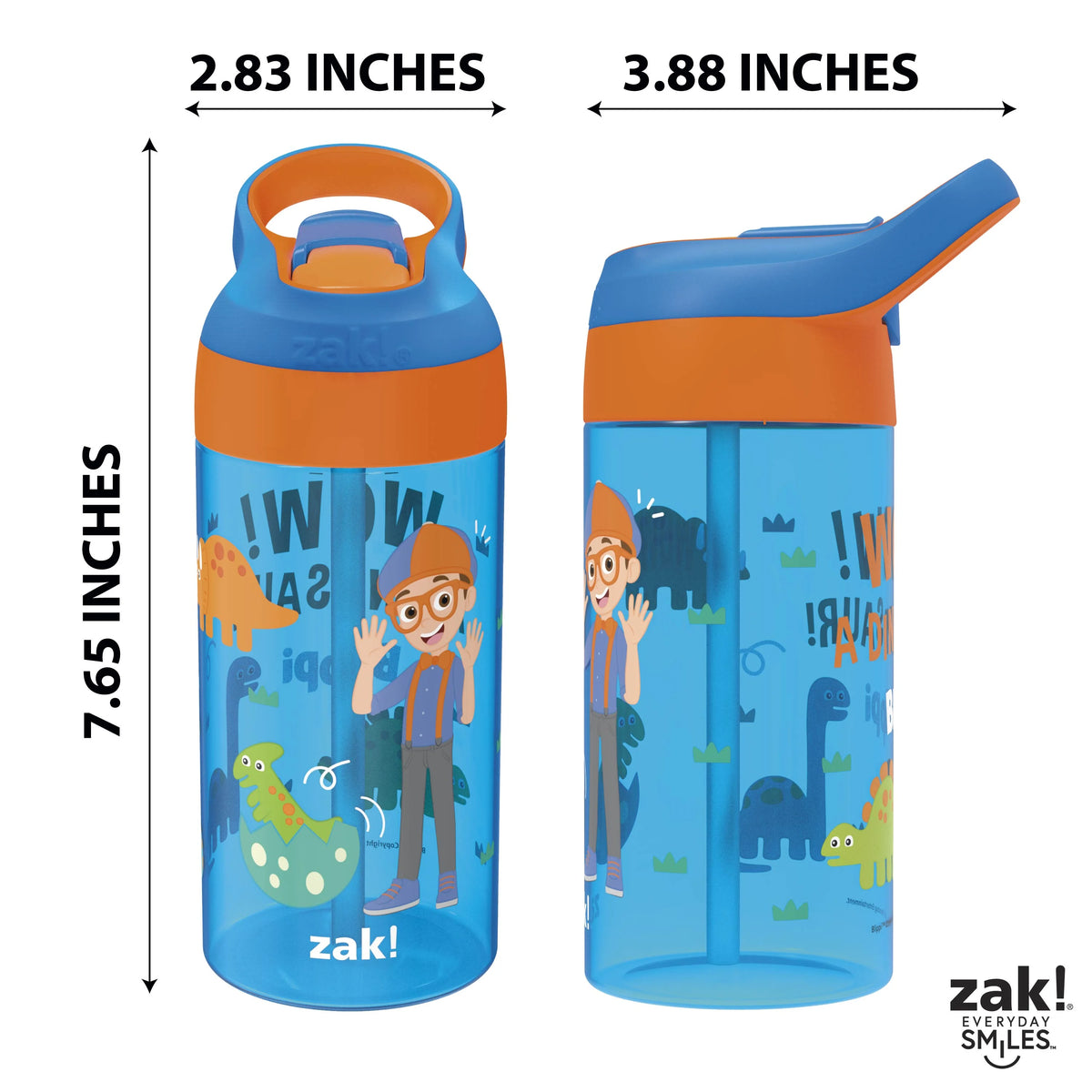 17.5 oz Kids Water Bottle with Spout Cover and Carrying Loop, Durable Plastic, Pack of 2 L171562