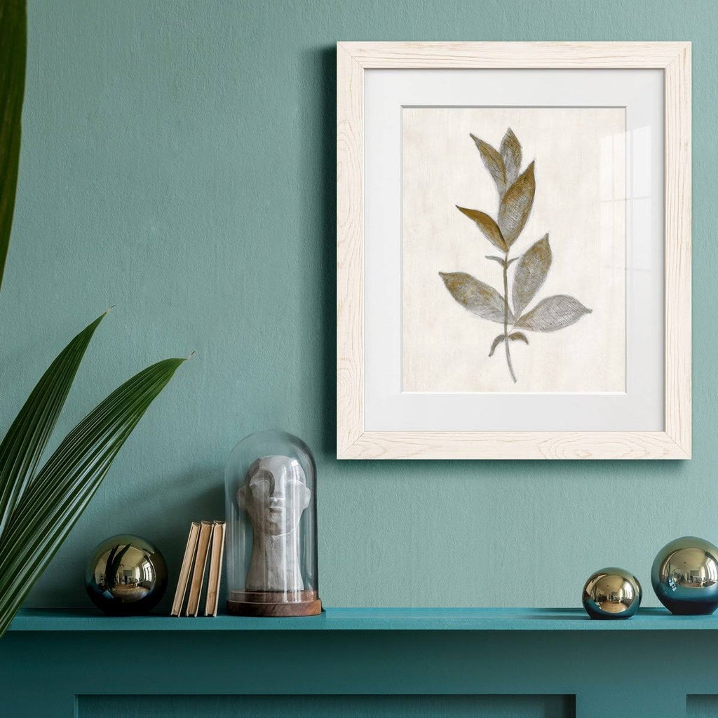 Walnut Framed Print Y9817