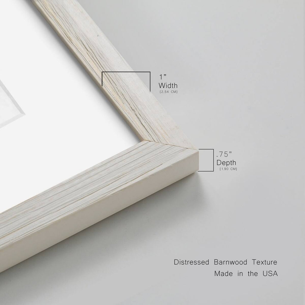 Walnut Framed Print Y9817