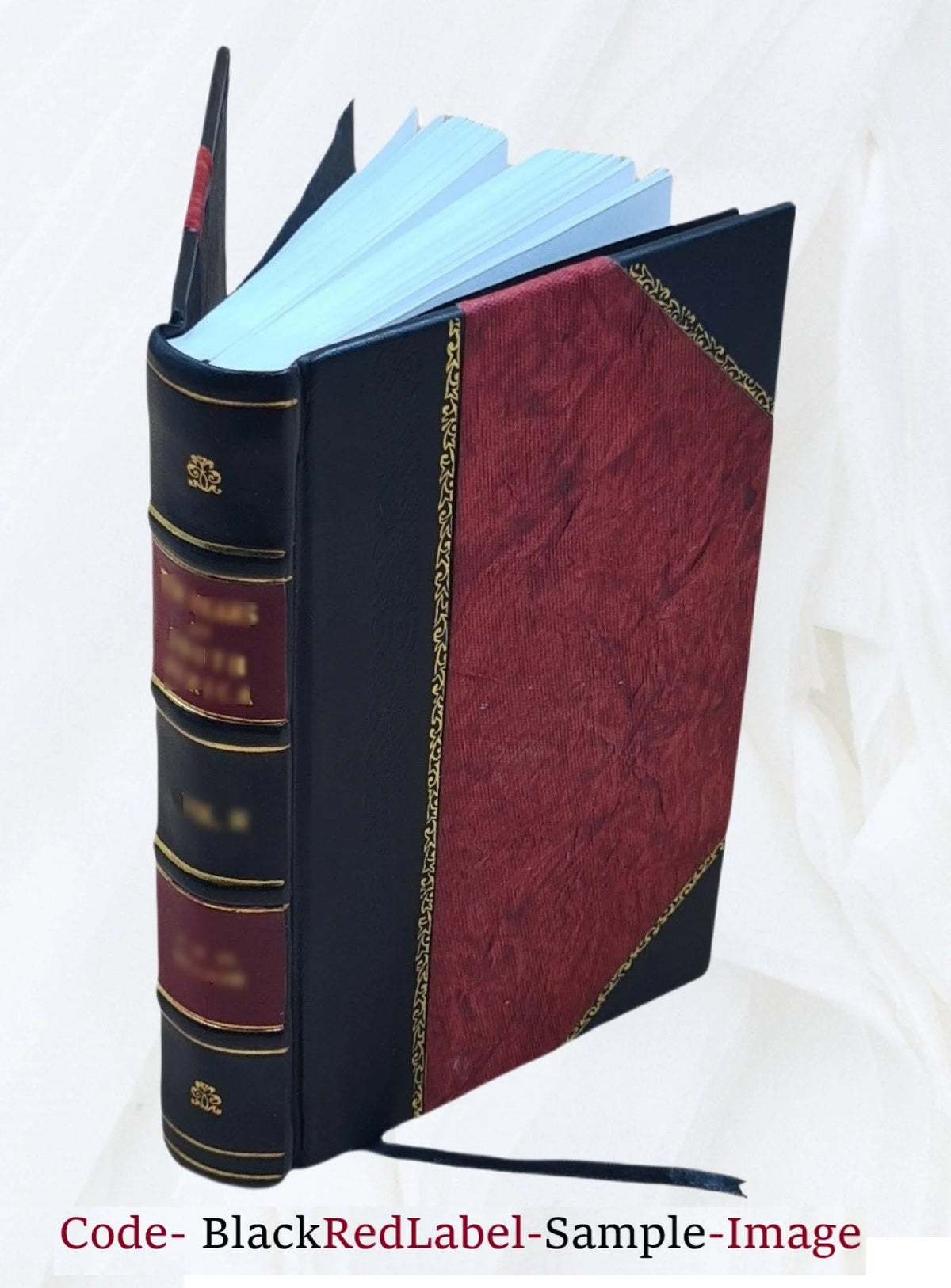 L'altra riva: dramma in quattro atti 1907 O262