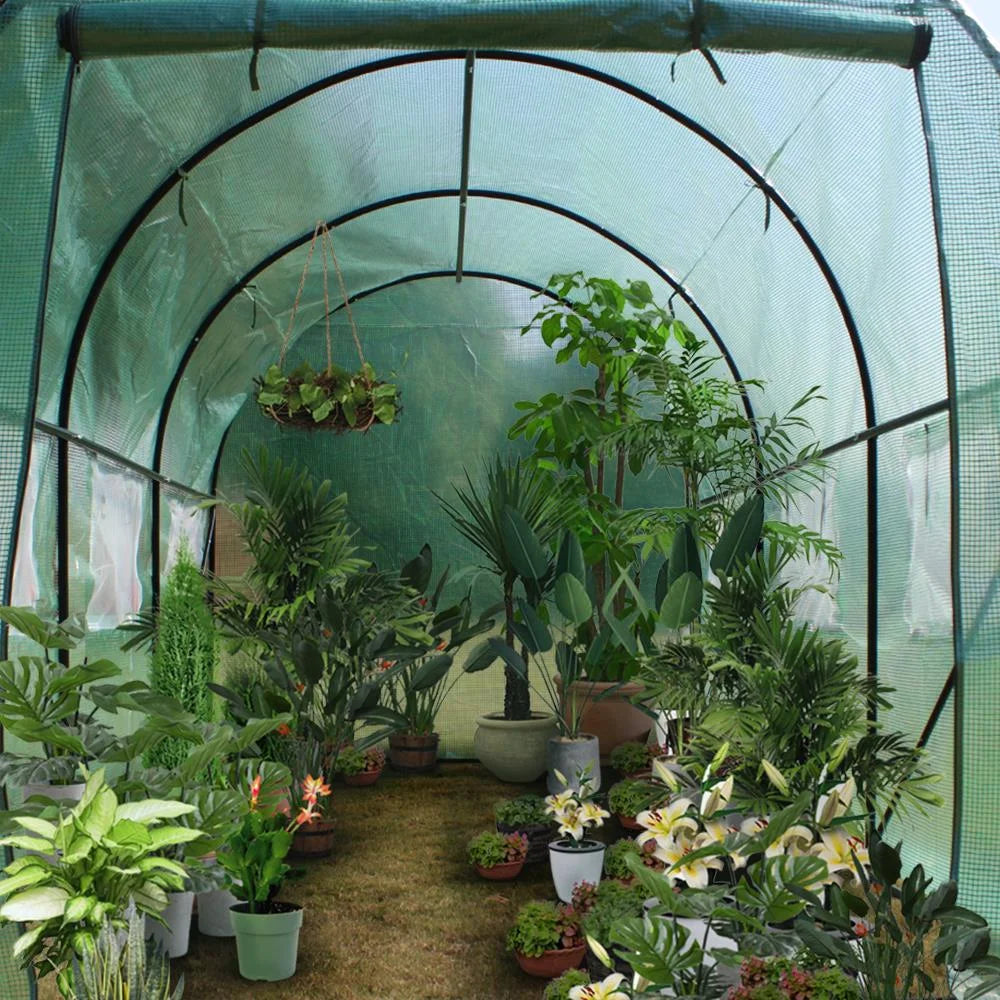 12' x 7' x 7' Portable Walk In Greenhouse Tent with Roll Up Window R816381